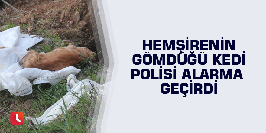 Hemşirenin gömdüğü kedi polisi alarma geçirdi