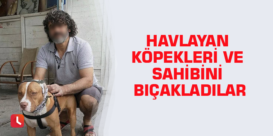 Havlayan köpekleri ve sahibini bıçakladılar