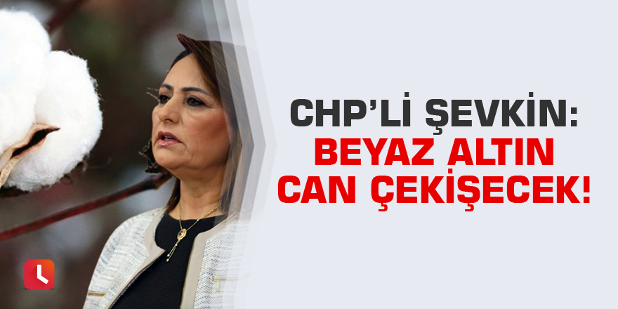 “Beyaz altın can çekişecek!”