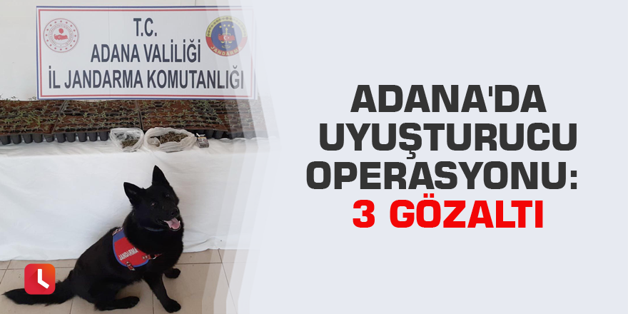 Adana'da uyuşturucu operasyonu: 3 gözaltı