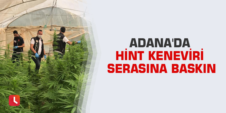 Adana'da Hint keneviri serasına baskın