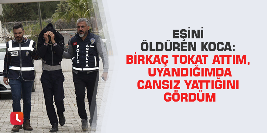 Eşini öldüren koca: Birkaç tokat attım, uyandığımda cansız yattığını gördüm