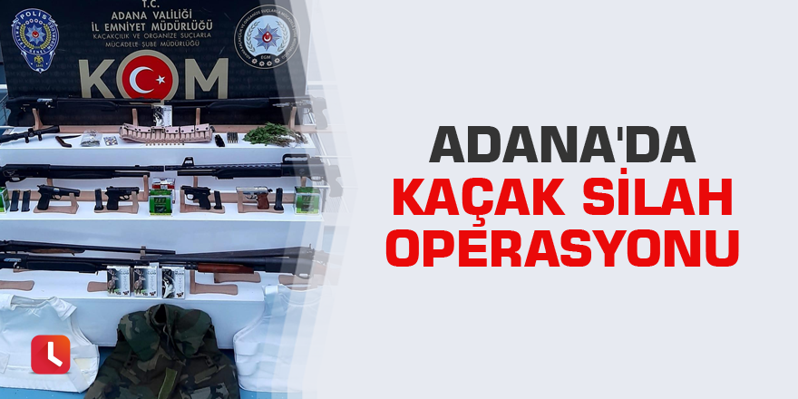 Adana'da kaçak silah operasyonu