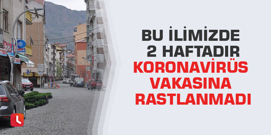 Bu ilimizde 2 haftadır koronavirüs vakasına rastlanmadı