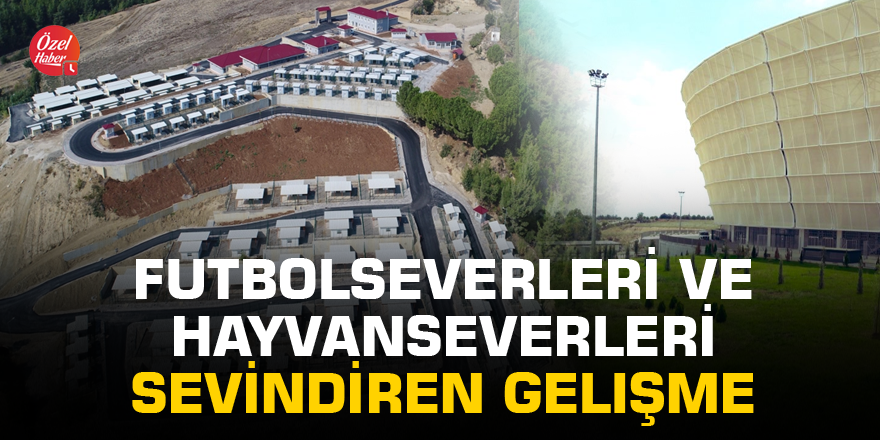 Adanalı futbolseverleri ve hayvanseverleri sevindiren gelişme