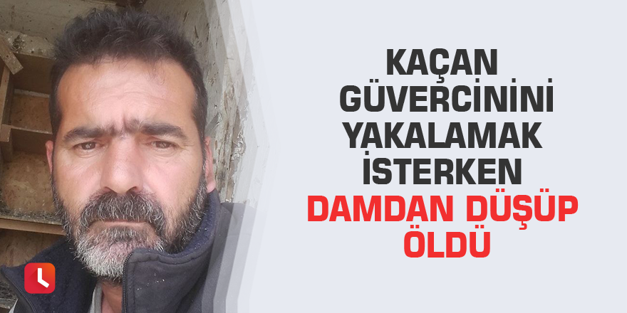 Kaçan güvercinini yakalamak isterken damdan düşüp öldü