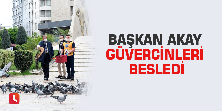 Başkan Akay güvercinleri besledi