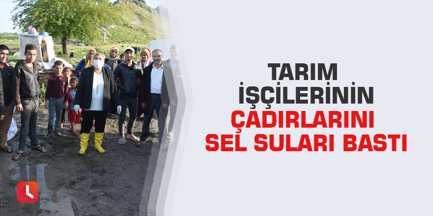 Tarım işçilerinin çadırlarını sel suları bastı