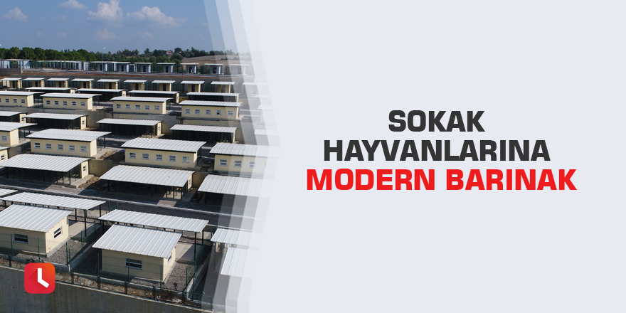 Sokak hayvanlarına modern barınak