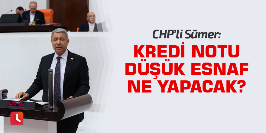 CHP'li Sümer: Kredi notu düşük esnaf ne yapacak?