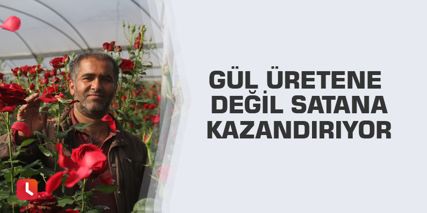 Gül üretene değil satana kazandırıyor