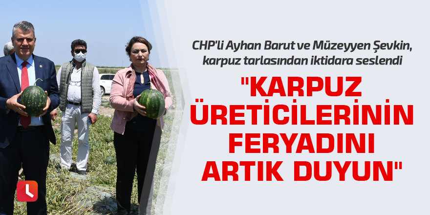 "Karpuz üreticilerinin feryadını artık duyun"