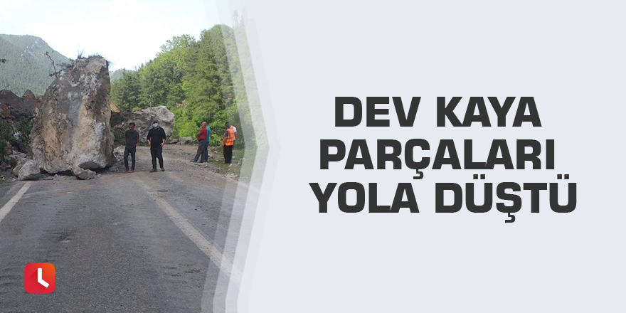 Dev kaya parçaları yola düştü