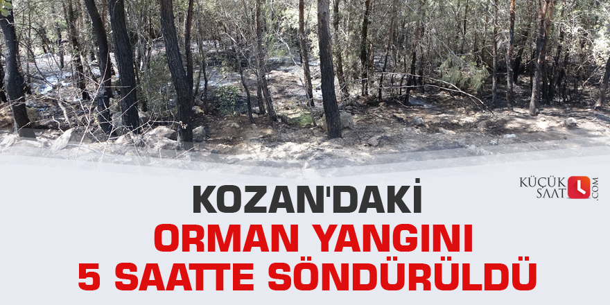 Kozan'daki orman yangını 5 saatte söndürüldü