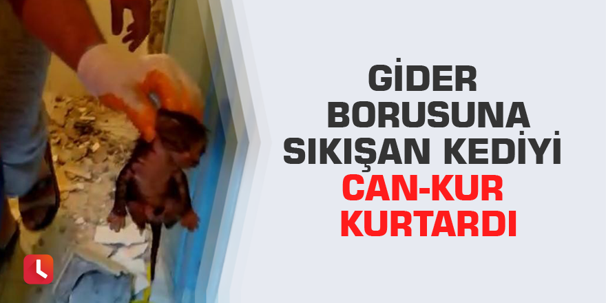 Gider borusuna sıkışan kediyi Can-Kur kurtardı