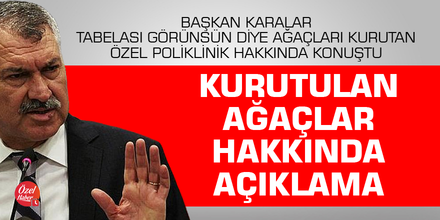 Başkan Karalar, Kurutulan ağaçlar hakkında konuştu