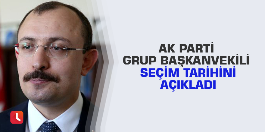 AK Parti Grup Başkanvekili seçim tarihini açıkladı