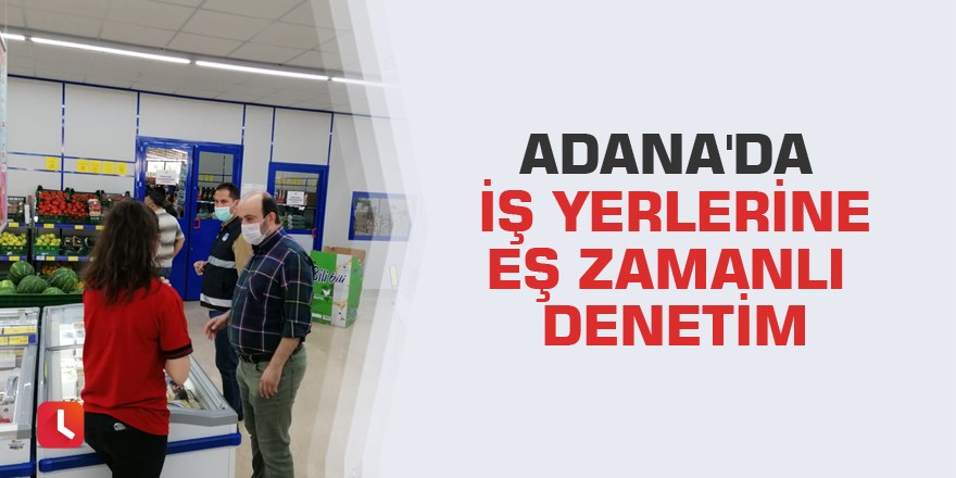 Adana'da iş yerlerine eş zamanlı denetim