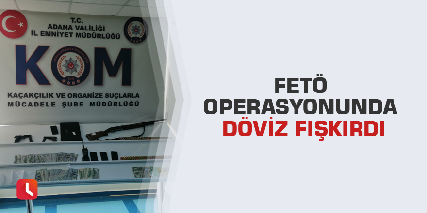 FETÖ operasyonunda döviz fışkırdı