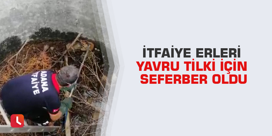 İtfaiye erleri yavru tilki için seferber oldu