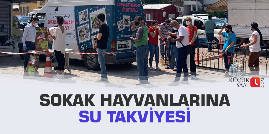 Sokak hayvanlarına su takviyesi