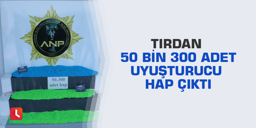 Tırdan 50 bin 300 adet uyuşturucu hap çıktı