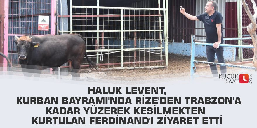 Haluk Levent, Kurban Bayramı'nda Rize'den Trabzon'a kadar yüzerek kesilmekten kurtulan Ferdinand'ı ziyaret etti