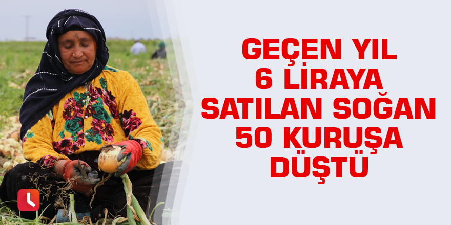 Geçen yıl 6 liraya satılan soğan 50 kuruşa kadar düştü