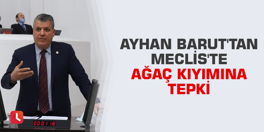 Ayhan Barut'tan Meclis'te ağaç kıyımına tepki