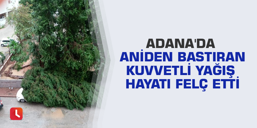 Adana'da aniden bastıran kuvvetli yağış hayatı felç etti