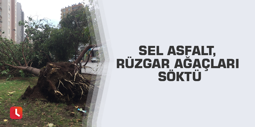 Sel asfalt, rüzgar ağaçları söktü