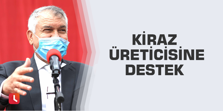 Kiraz üreticisine destek