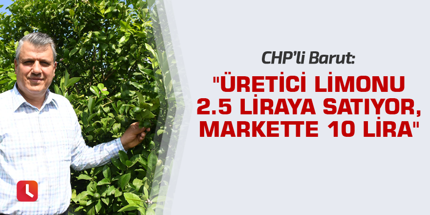 "Üretici limonu 2.5 liraya satıyor, markette 10 lira"