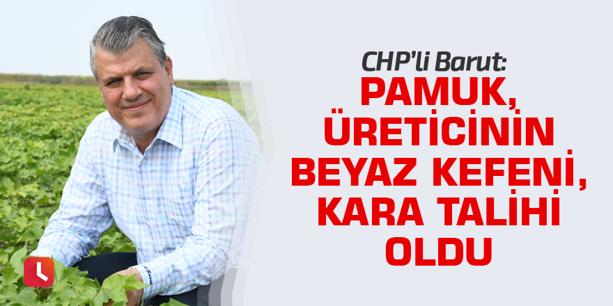 "Pamuk, üreticinin beyaz kefeni, kara talihi oldu"