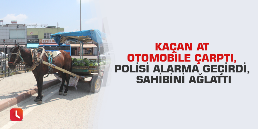 Kaçan at otomobile çarptı, polisi alarma geçirdi, sahibini ağlattı