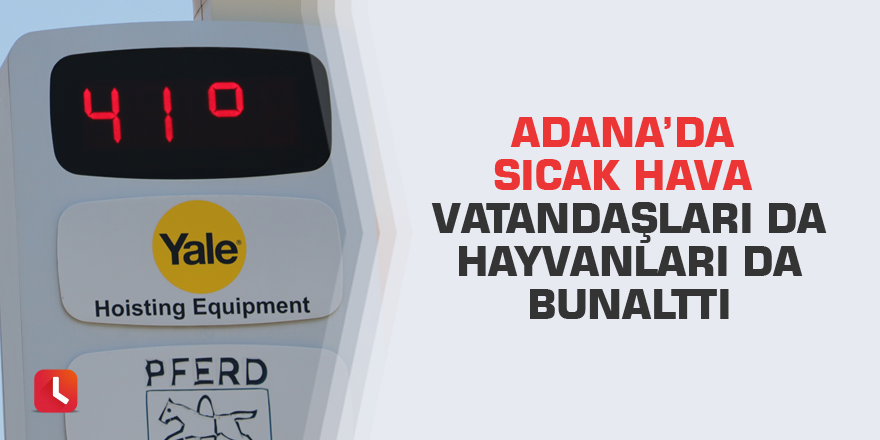 Adana’da sıcak hava vatandaşları da hayvanları da bunalttı