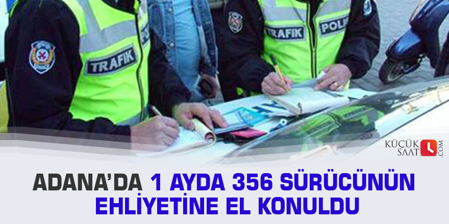 Adana’da 1 ayda 356 sürücünün ehliyetine el konuldu