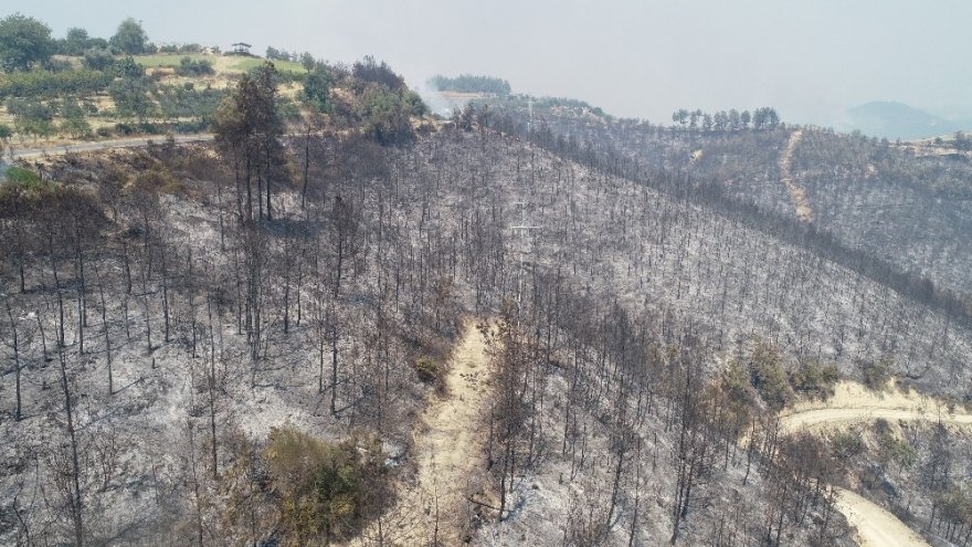 Adana’daki yangında tahribatın büyüklüğü böyle görüntülendi