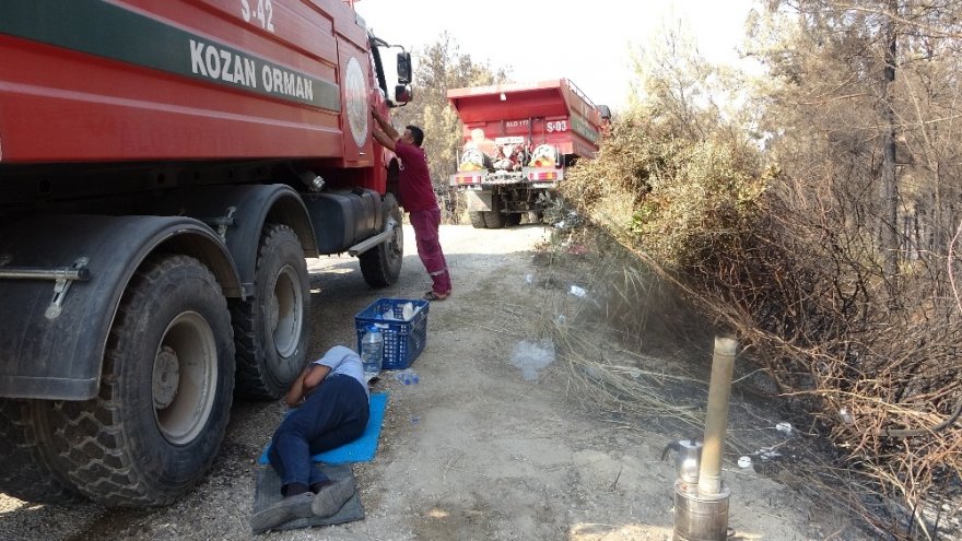 Yeşil ormandan geriye külleri kaldı