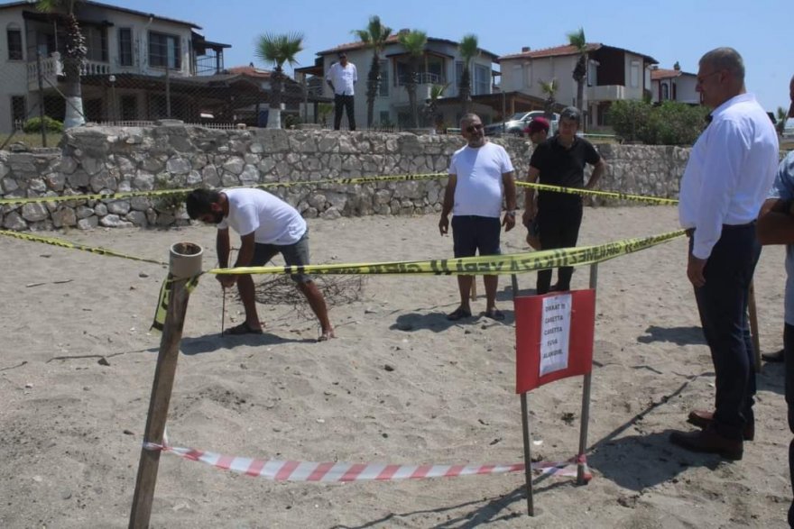 Karataş’ta Caretta Caretta seferberliği