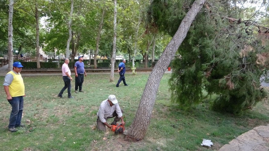 Kozan’da sağanak ve dolu yağışı etkili oldu