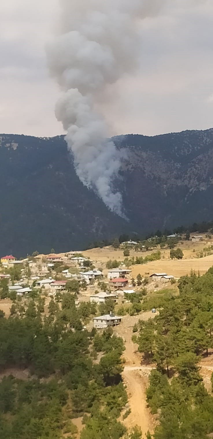 Saimbeyli’de orman yangını