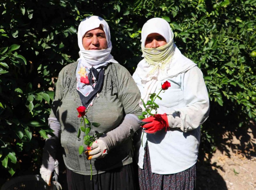 Dünya Kadın Çiftçiler Günü’nde tarlada çalışırken gül alınca şaşırdılar