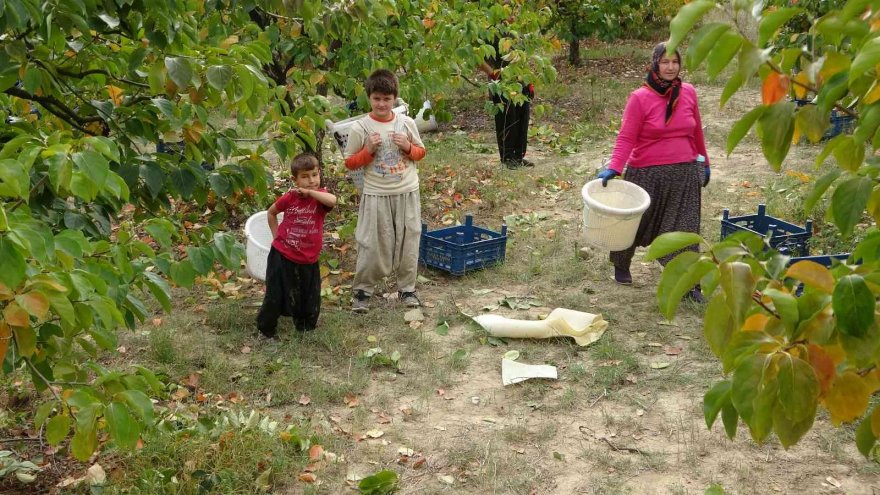 Çamaşır ipine asarak başladı, şimdi siparişlere yetişemiyor