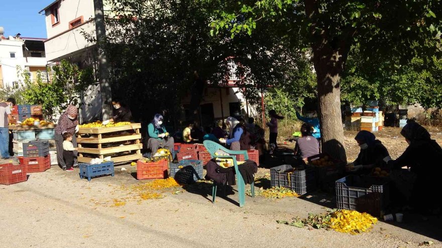 Şiddet haberlerinden etkilendi, kadınları üretime geçirdi