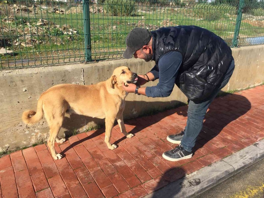 Can dosttan yarasını tedavi eden sağlık çalışanına vefa