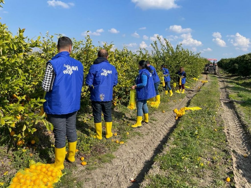 Dalında kalan limon vatandaşa dağıtılıyor