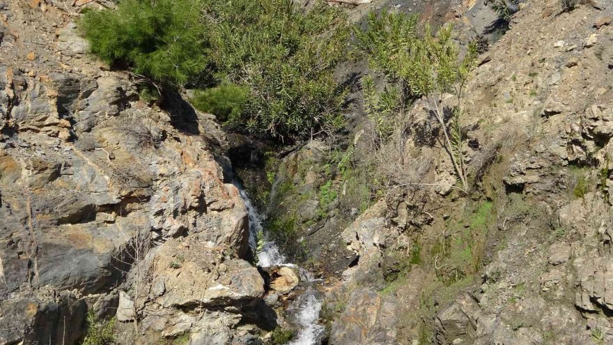 Kuruyan su gözleri yeniden çağlamaya başladı