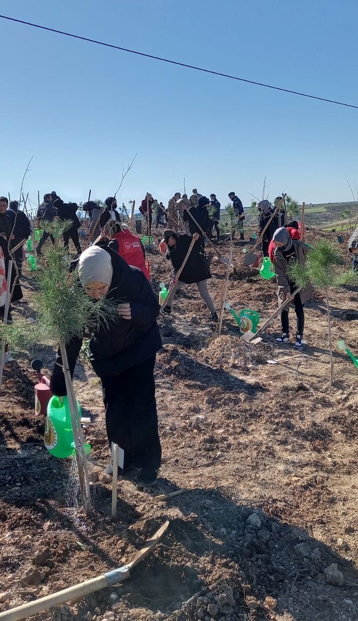 Adana'da yanan ormanlık alanı, şehit ve gazi yakınları yeşertti