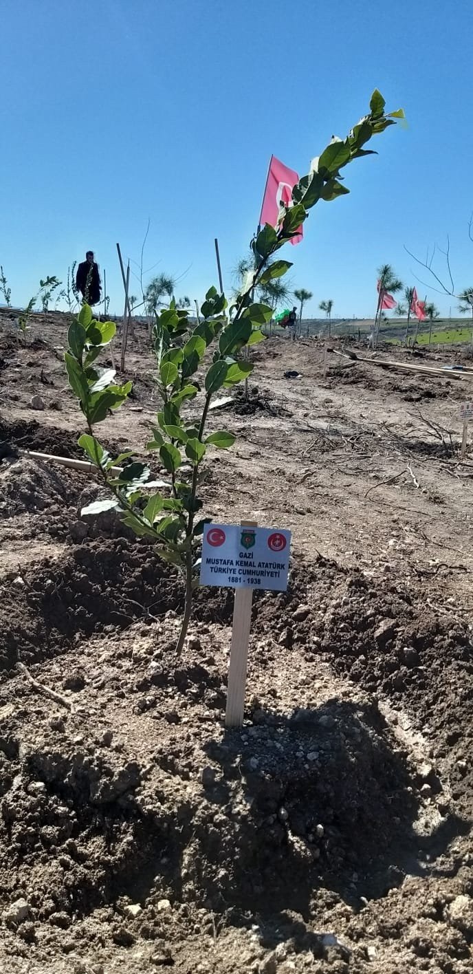 Adana'da yanan ormanlık alanı, şehit ve gazi yakınları yeşertti